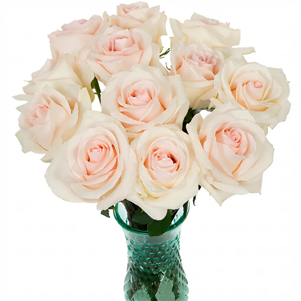Pastella Roses Standard - alternative 2