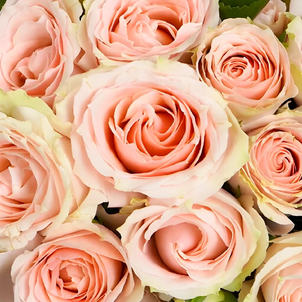 Irishka Roses Spray - Peach - main