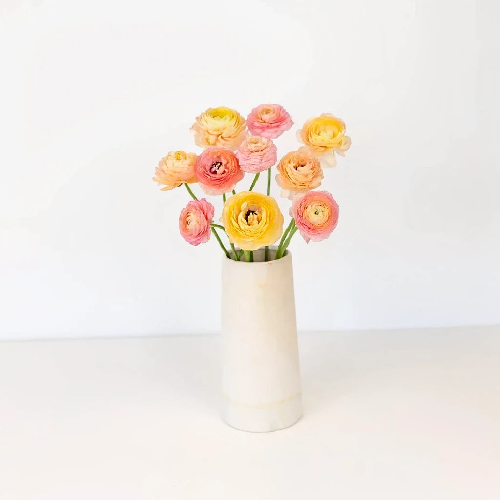 Elegance Pastello Ranunculus - alternative 2