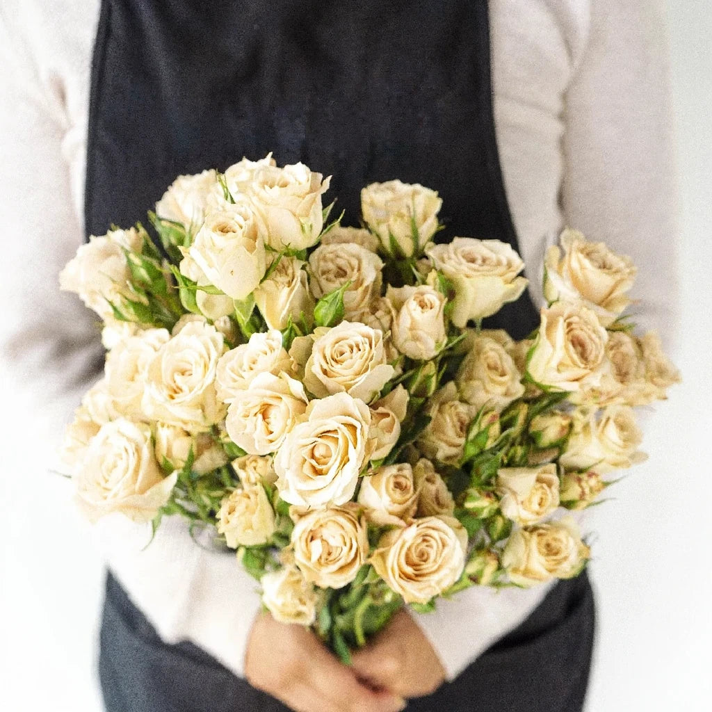 Creta Roses Spray - alternative 2
