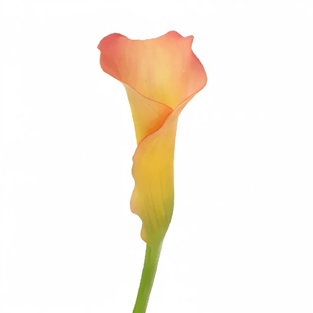 Peach Calla Lily Mini - alternative 3