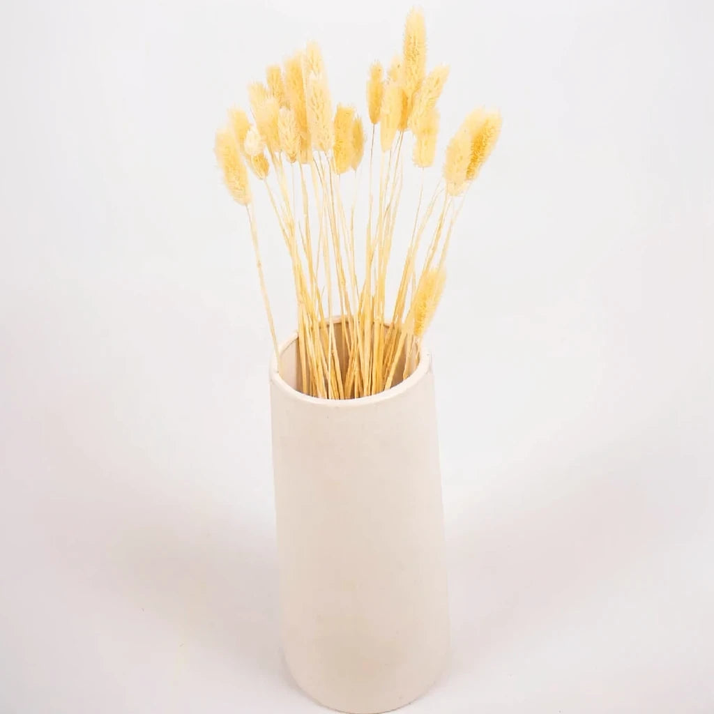 Canary Grass Dried - Natural - alternative 1