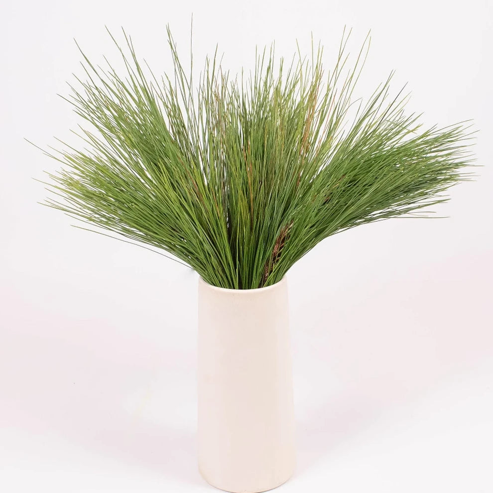 Pine Greenery - alternative 1