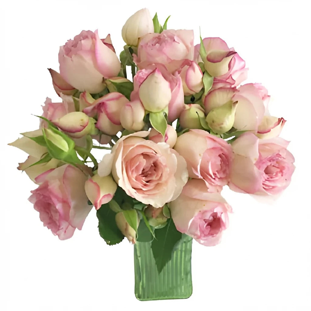 Carmeline Roses Garden Spray - alternative 2
