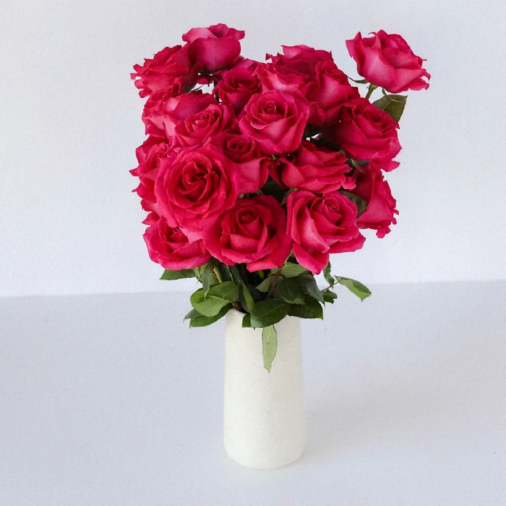 Pink Floyd Roses Standard - alternative 1