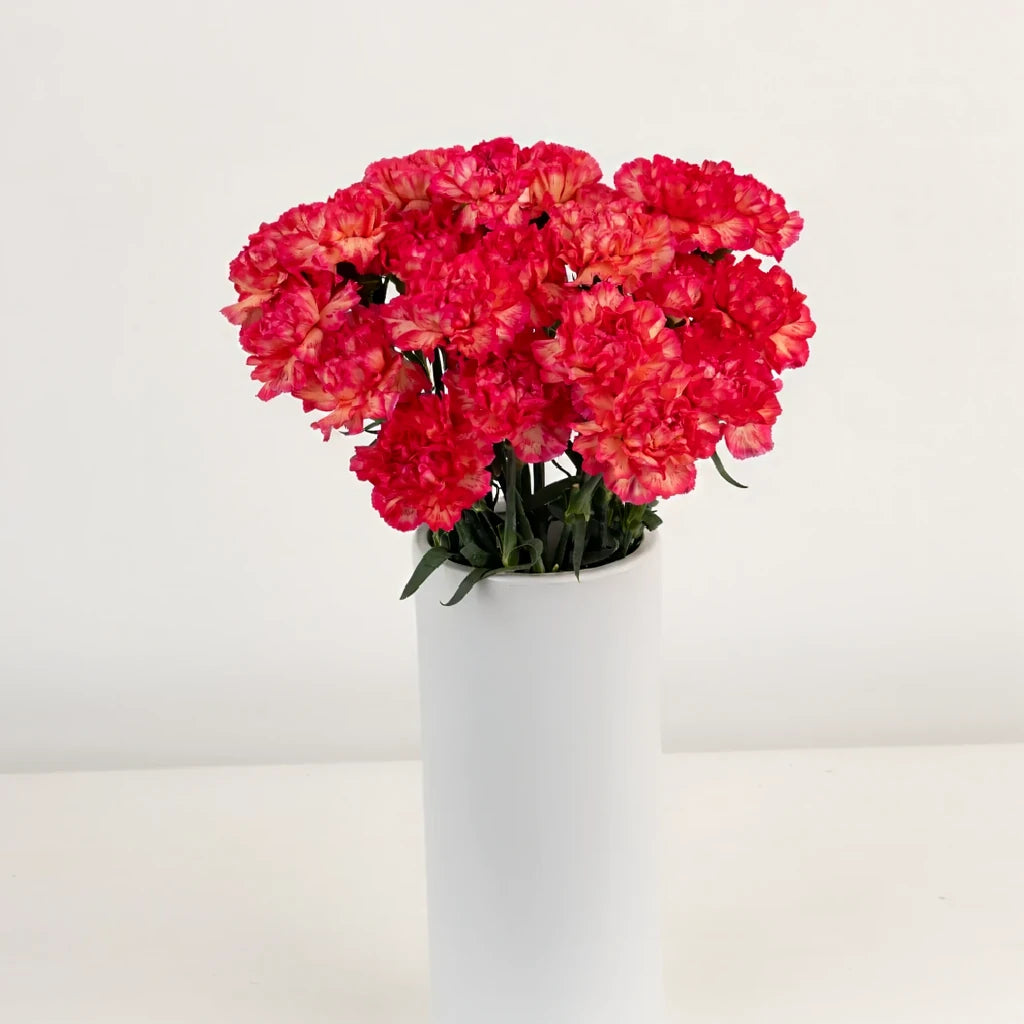 Cowboy Carnations - alternative 2