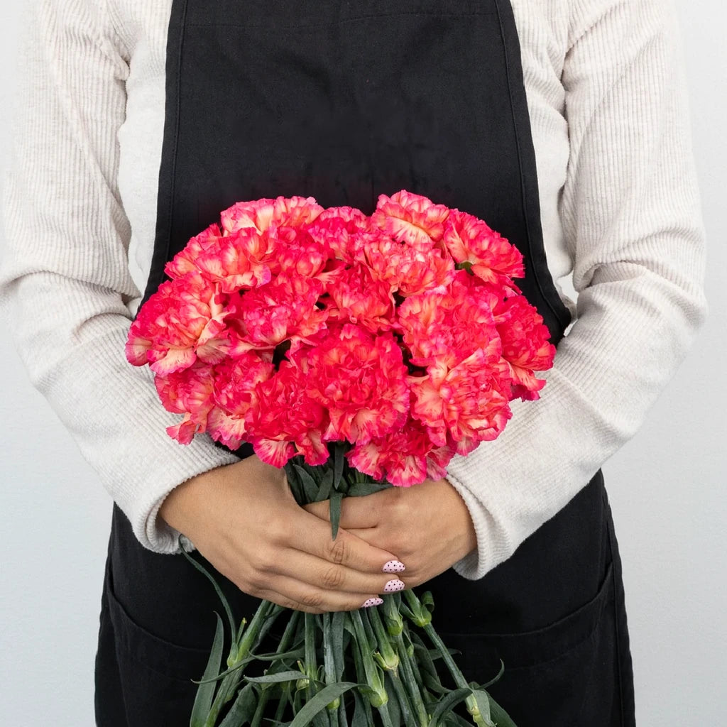 Cowboy Carnations - main