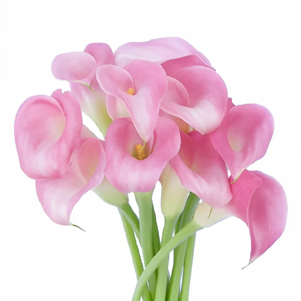 Denver Calla Lily Mini - alternative 1