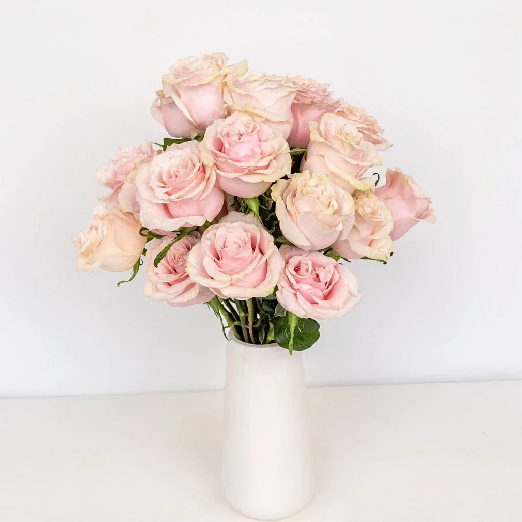 Pink Mondial Roses Standard - alternative 1