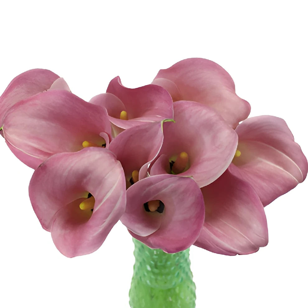 Pink Panther Calla Lily Mini - alternative 3