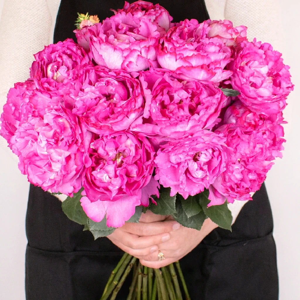 Yves Piaget Roses Garden - alternative 1