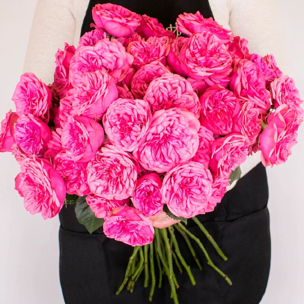Pink Piano Roses Garden - alternative 3