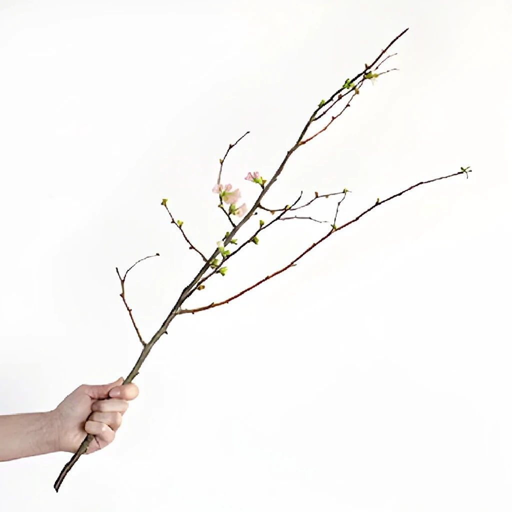Pink Quince Branches - alternative 2