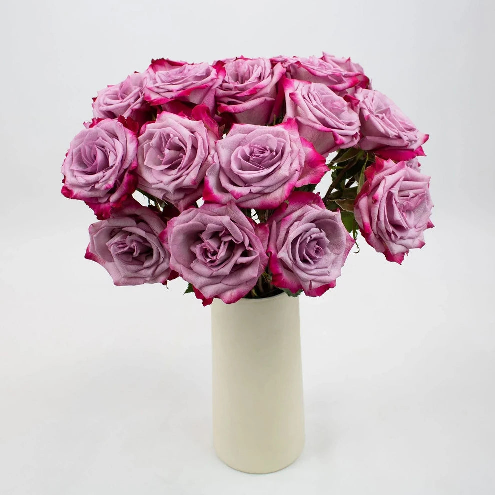 Bicolor Lavender & Pink Deep Purple Roses Standard - alternative 2