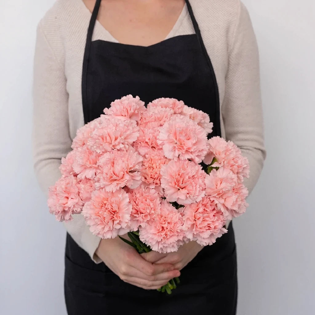 Betsy Carnations - alternative 2