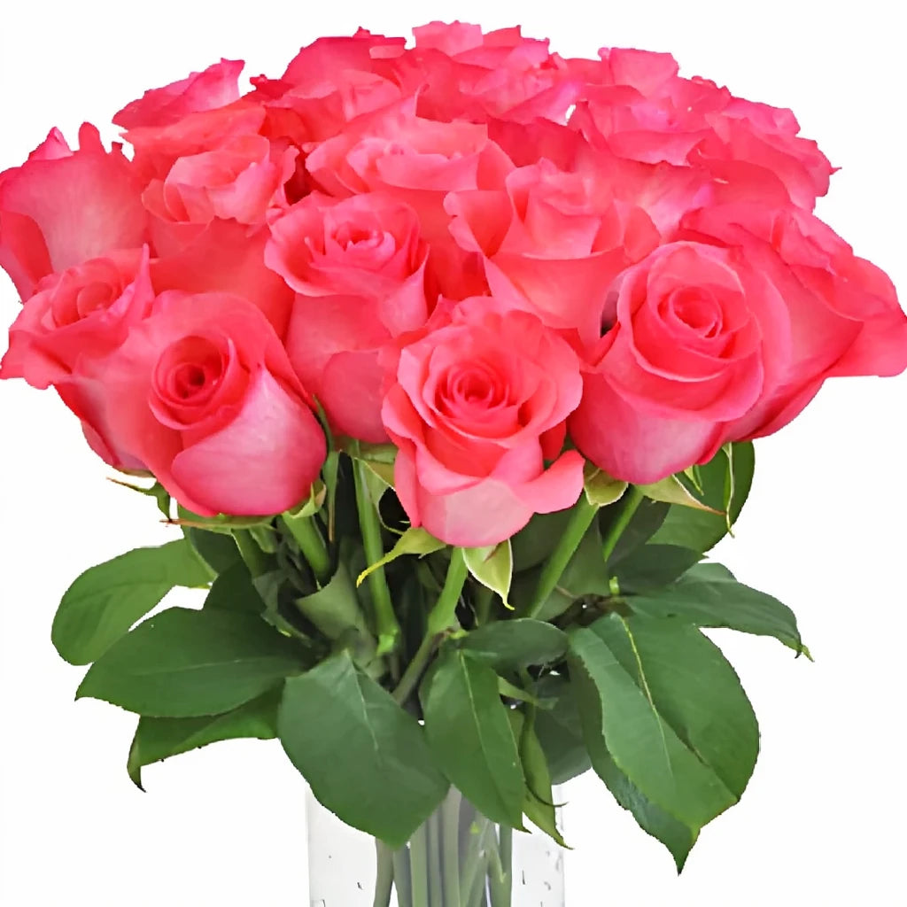 Pink Love Roses Standard - main