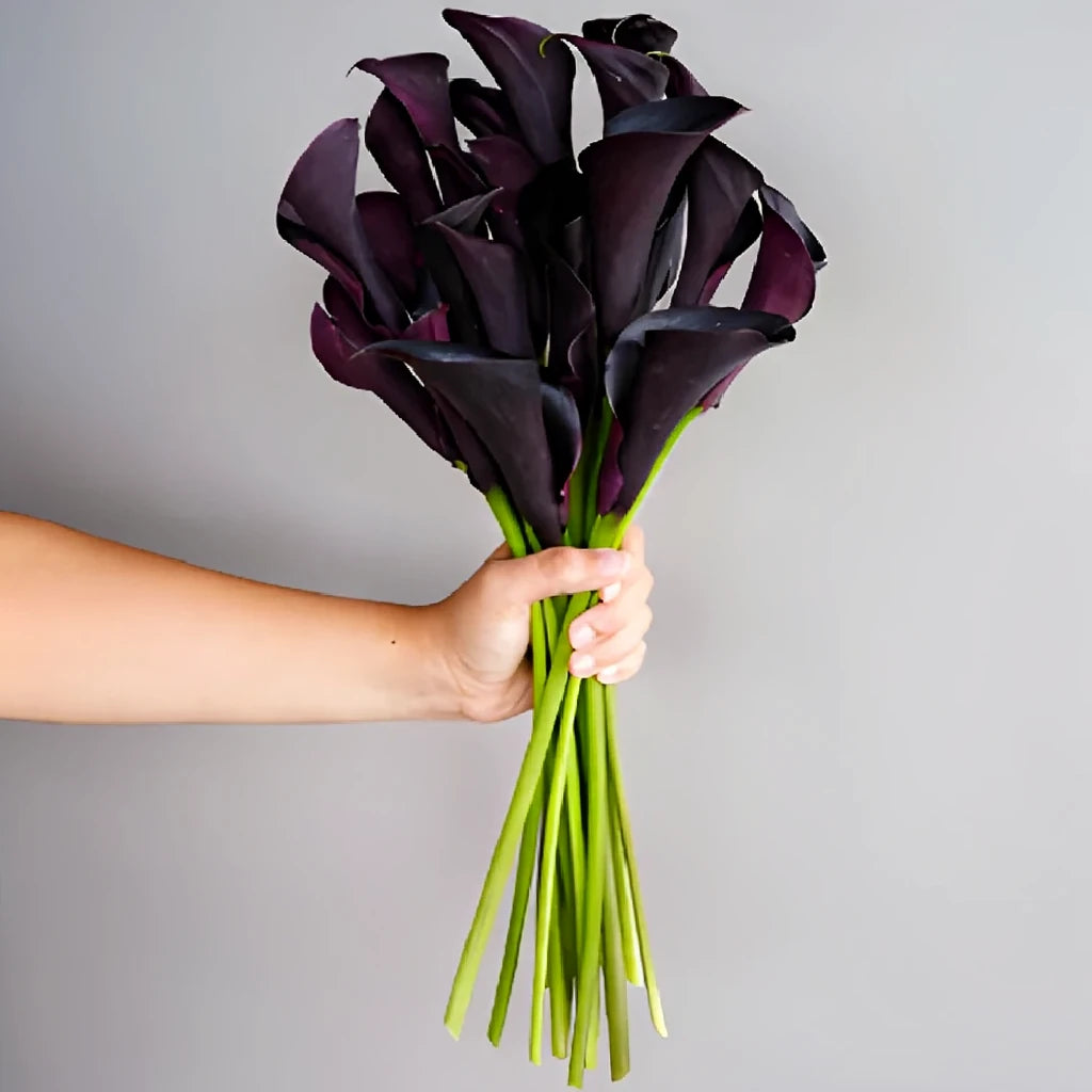 odessa Calla Lily Mini - alternative 1