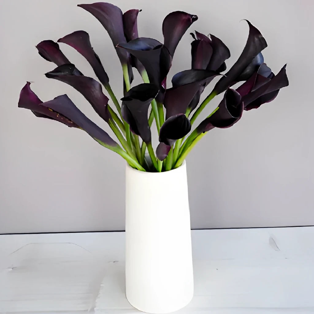 odessa Calla Lily Mini - main