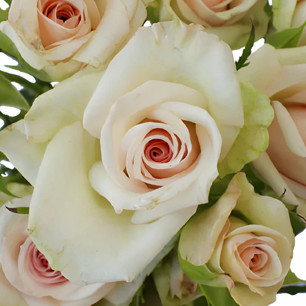 Porcelina Roses Spray - alternative 2