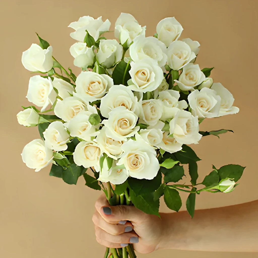 Princess Roses Spray - alternative 2
