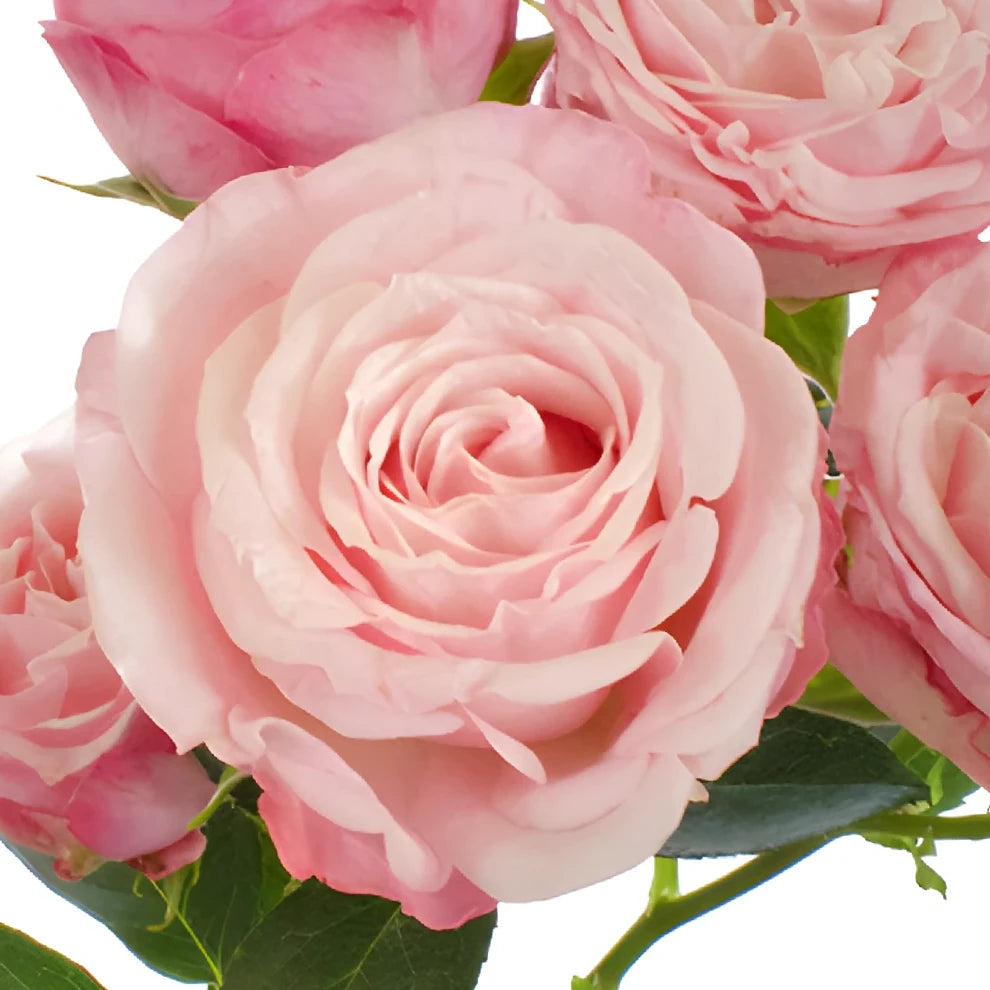 Bombastic Roses Spray - alternative 3