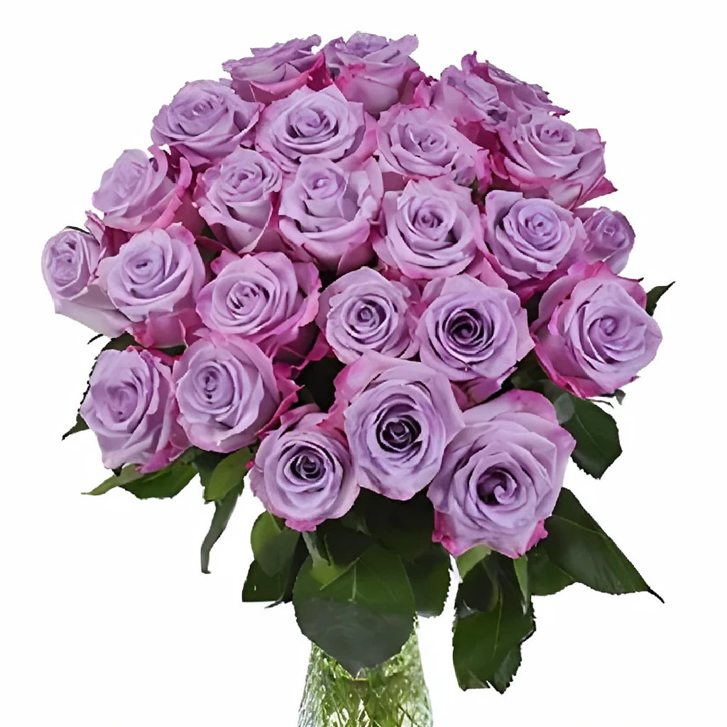 Purple Haze Roses Standard - alternative 3