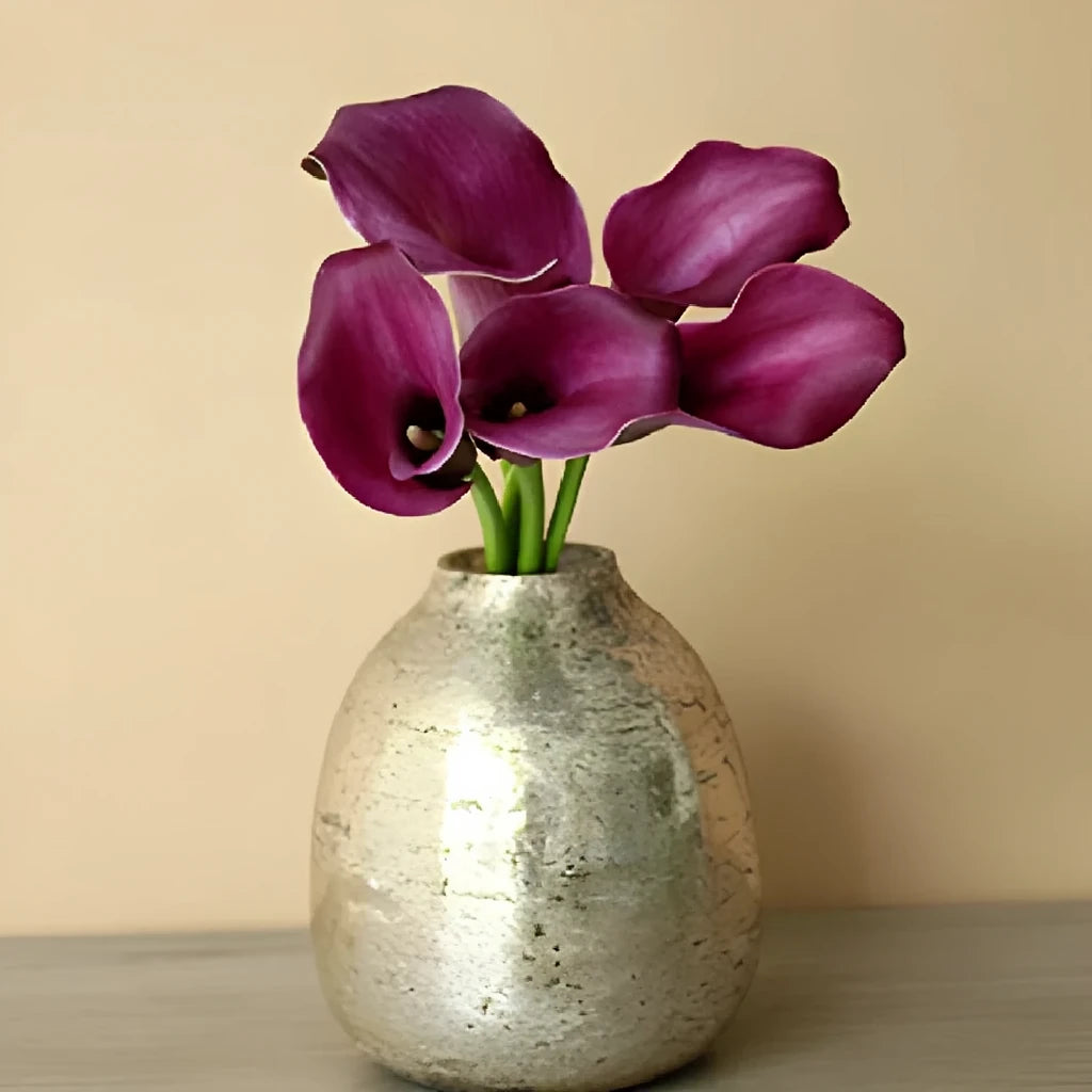 Purple Star Calla Lily Mini - alternative 1