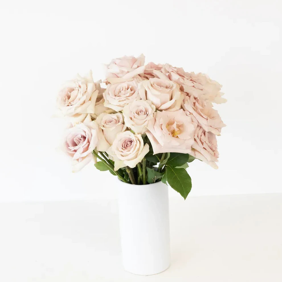 Cream Quicksand Roses Standard - alternative 2