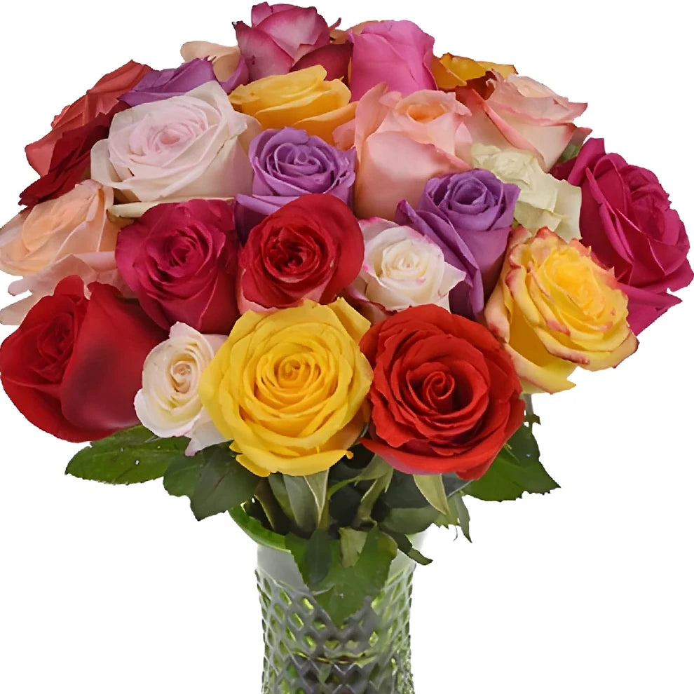 Assorted Roses Standard - main