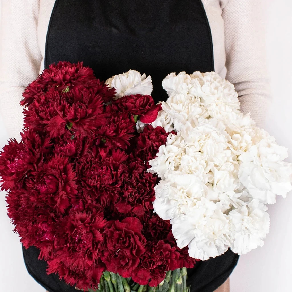 Moonlight Carnations - alternative 2
