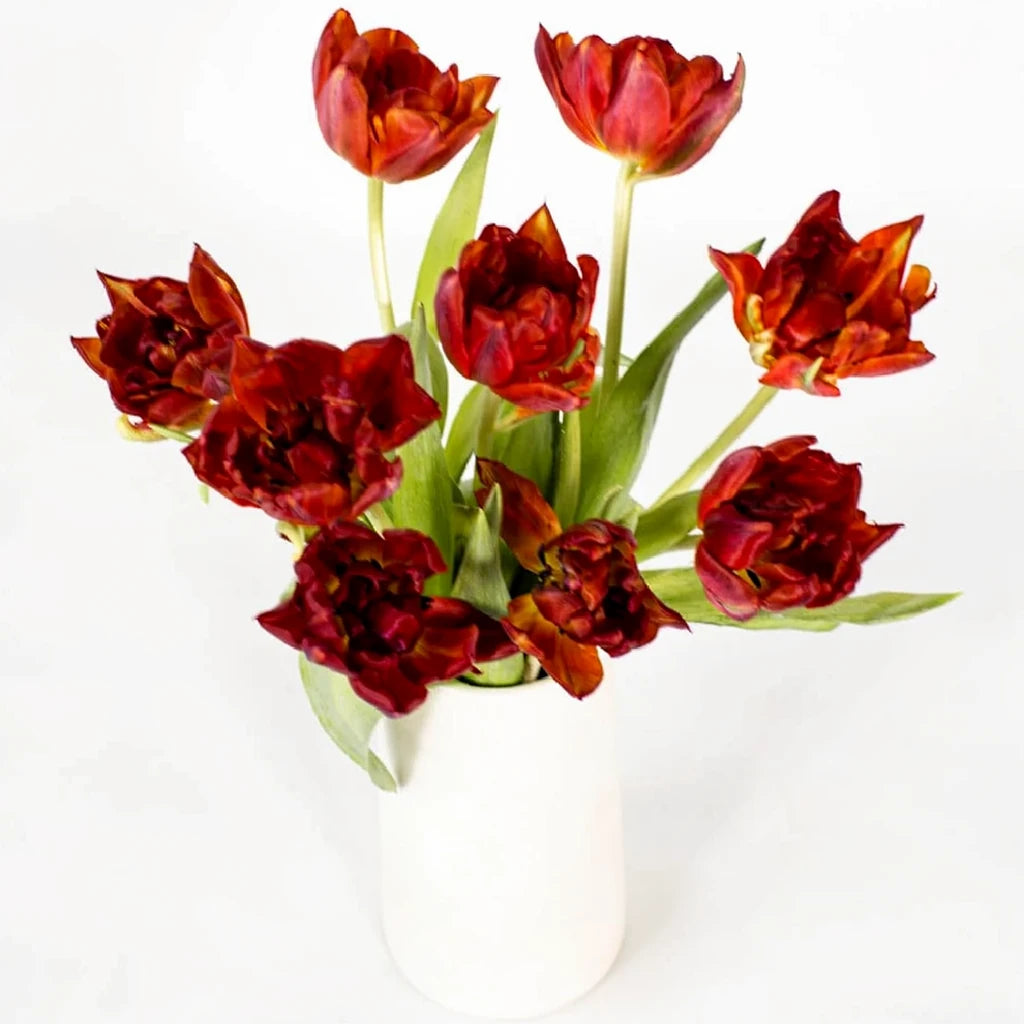 Red Tulips Doubles - alternative 2