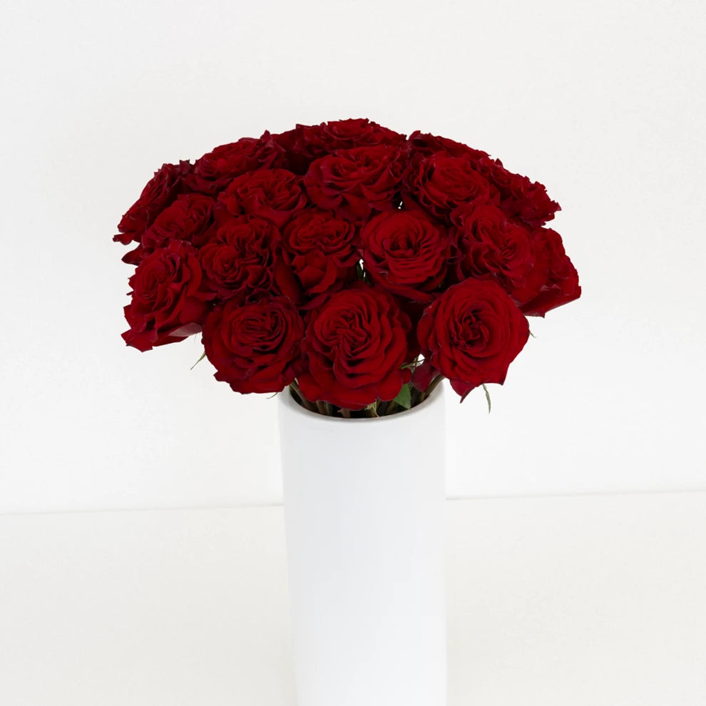 Red Hearts Roses Standard - alternative 1