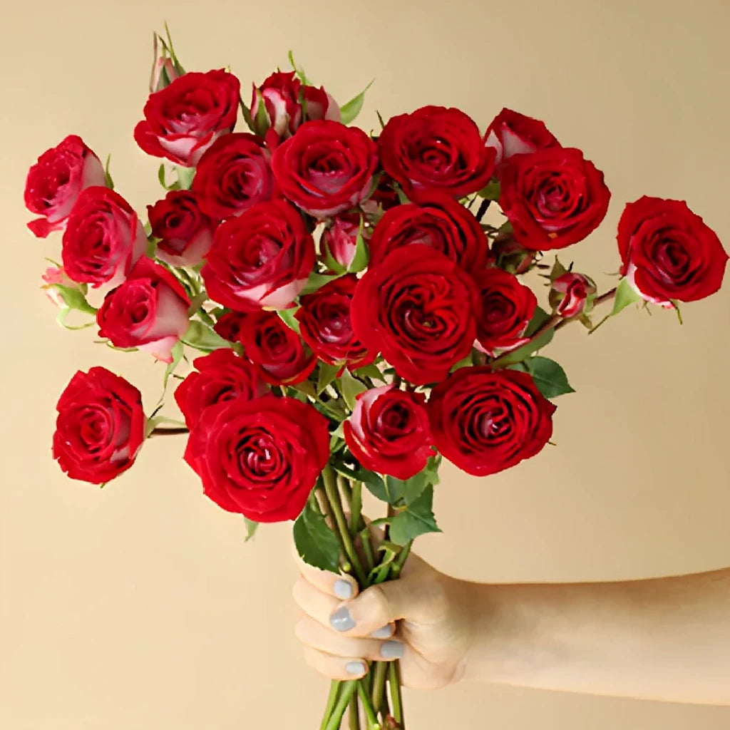 Red Roses Spray - alternative 4