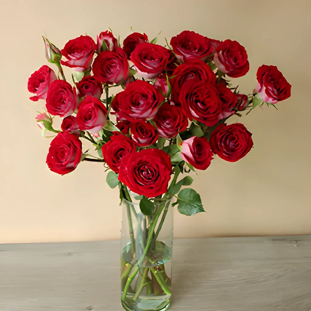 Red Roses Spray - main