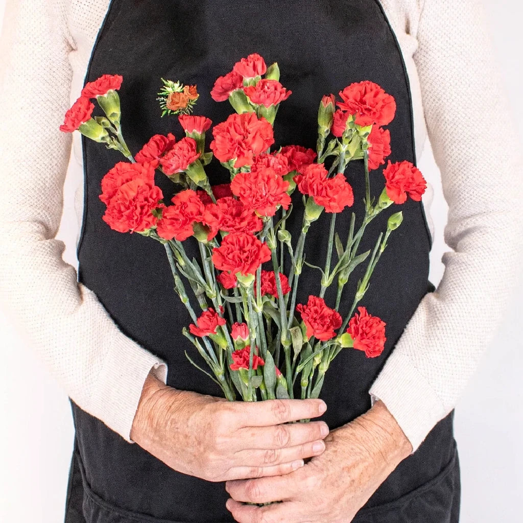 Red Carnations Mini - alternative 1