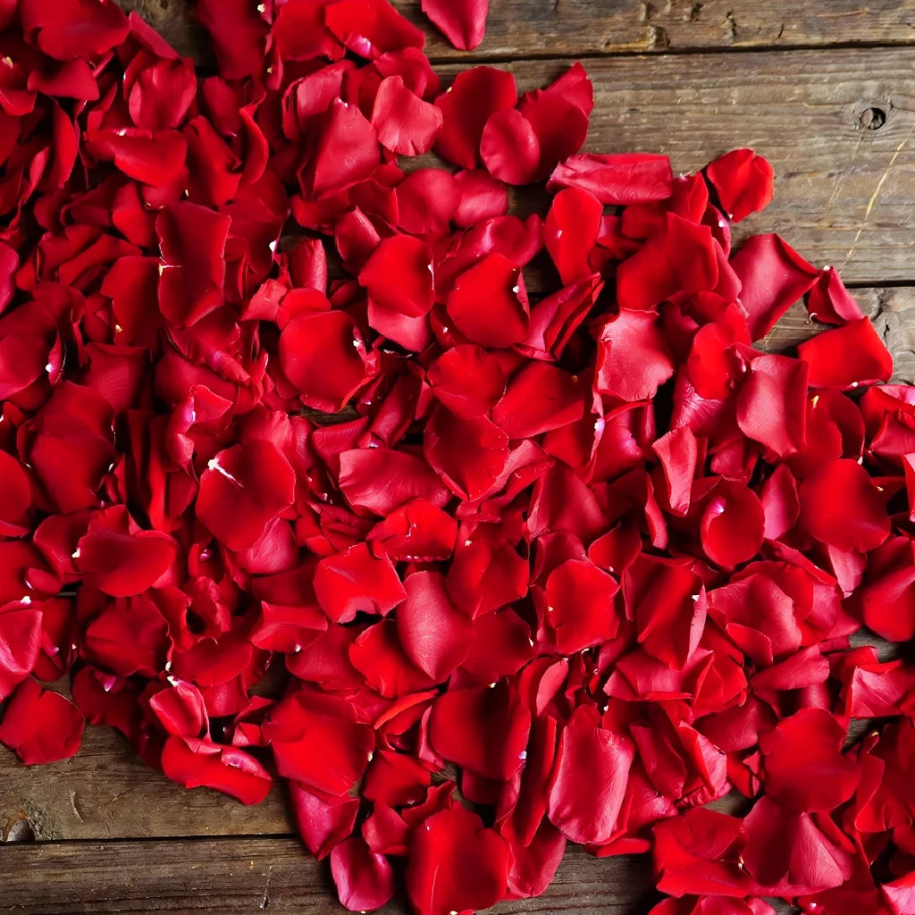 Red Rose Petals - alternative 1