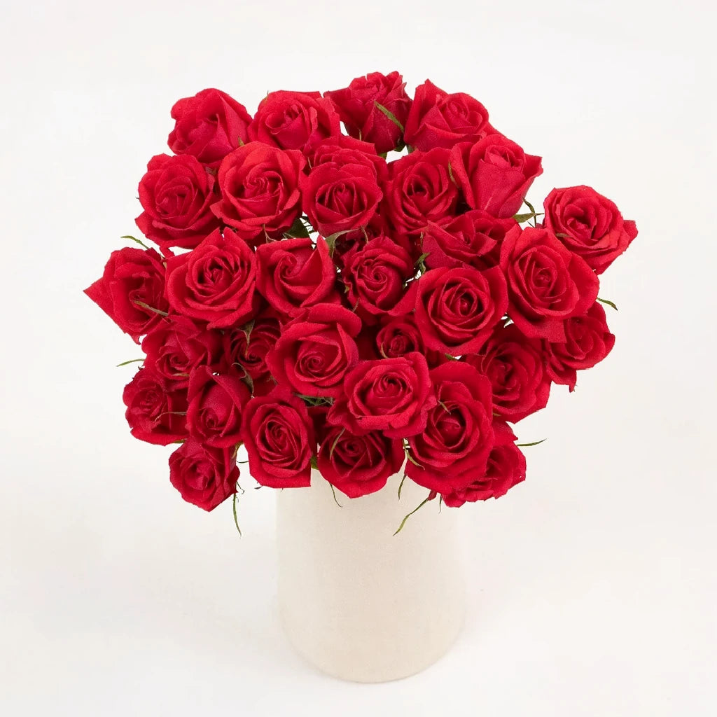 Red Collection Roses Spray - alternative 2