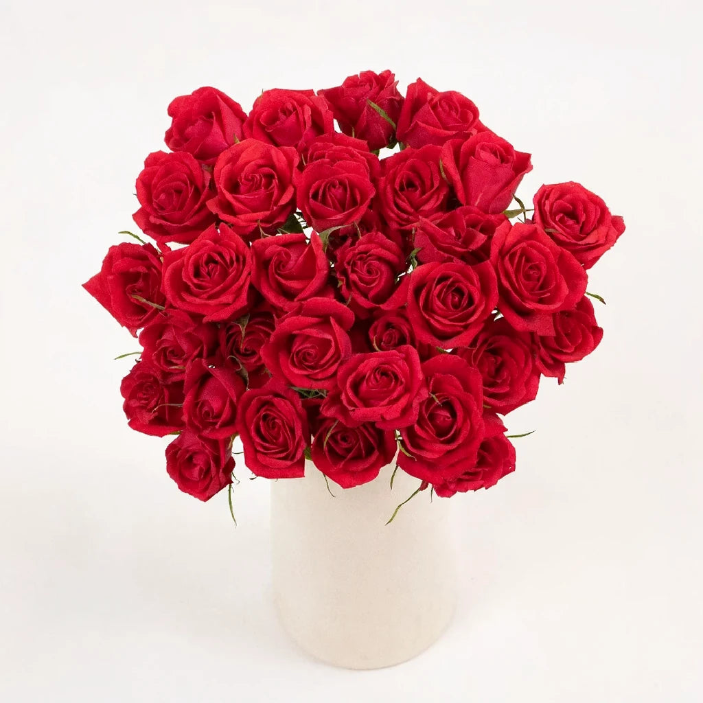 Red Angel Roses Spray - main