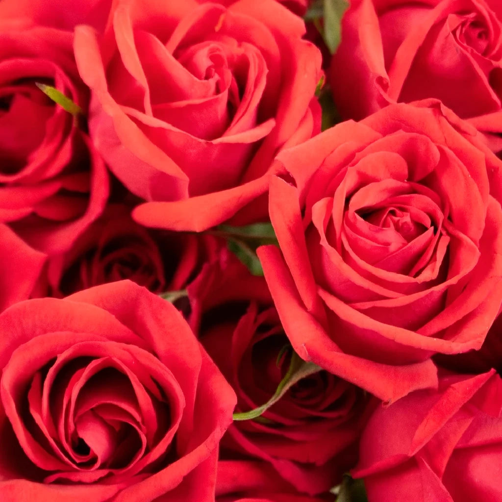 Red Collection Roses Spray - alternative 1