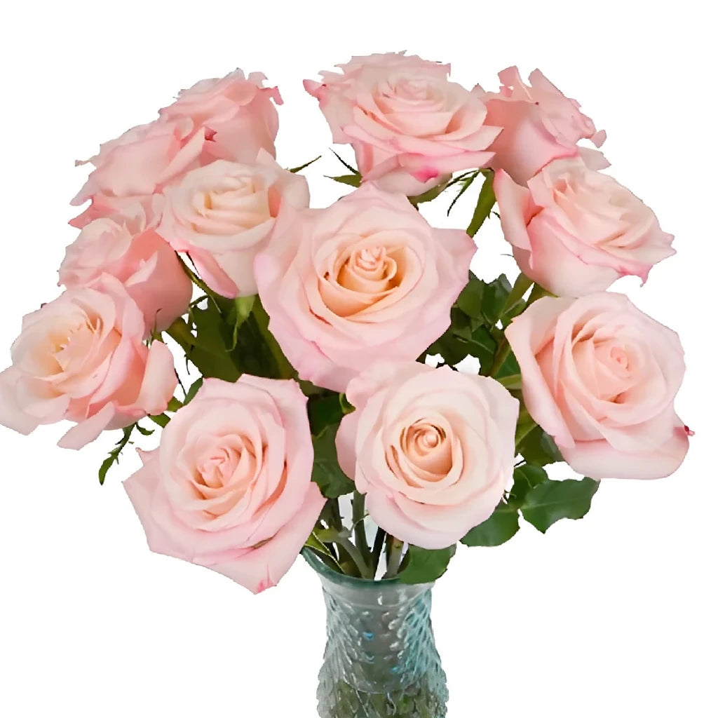 Rhoslyn Roses Standard - alternative 2