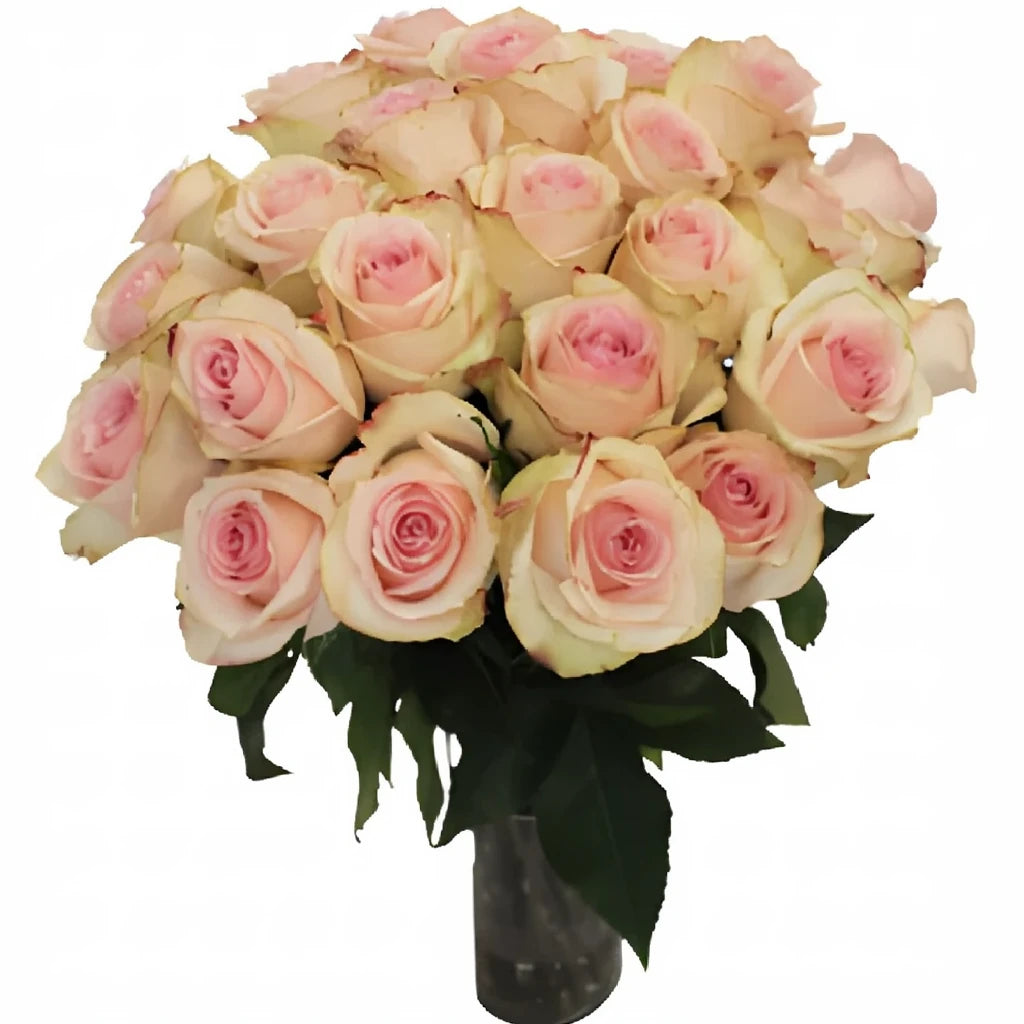 Girlfriend Roses Standard - alternative 3