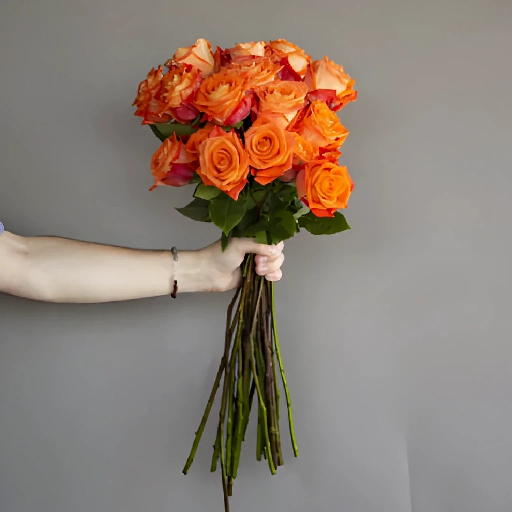 Orangine Roses Standard - alternative 2