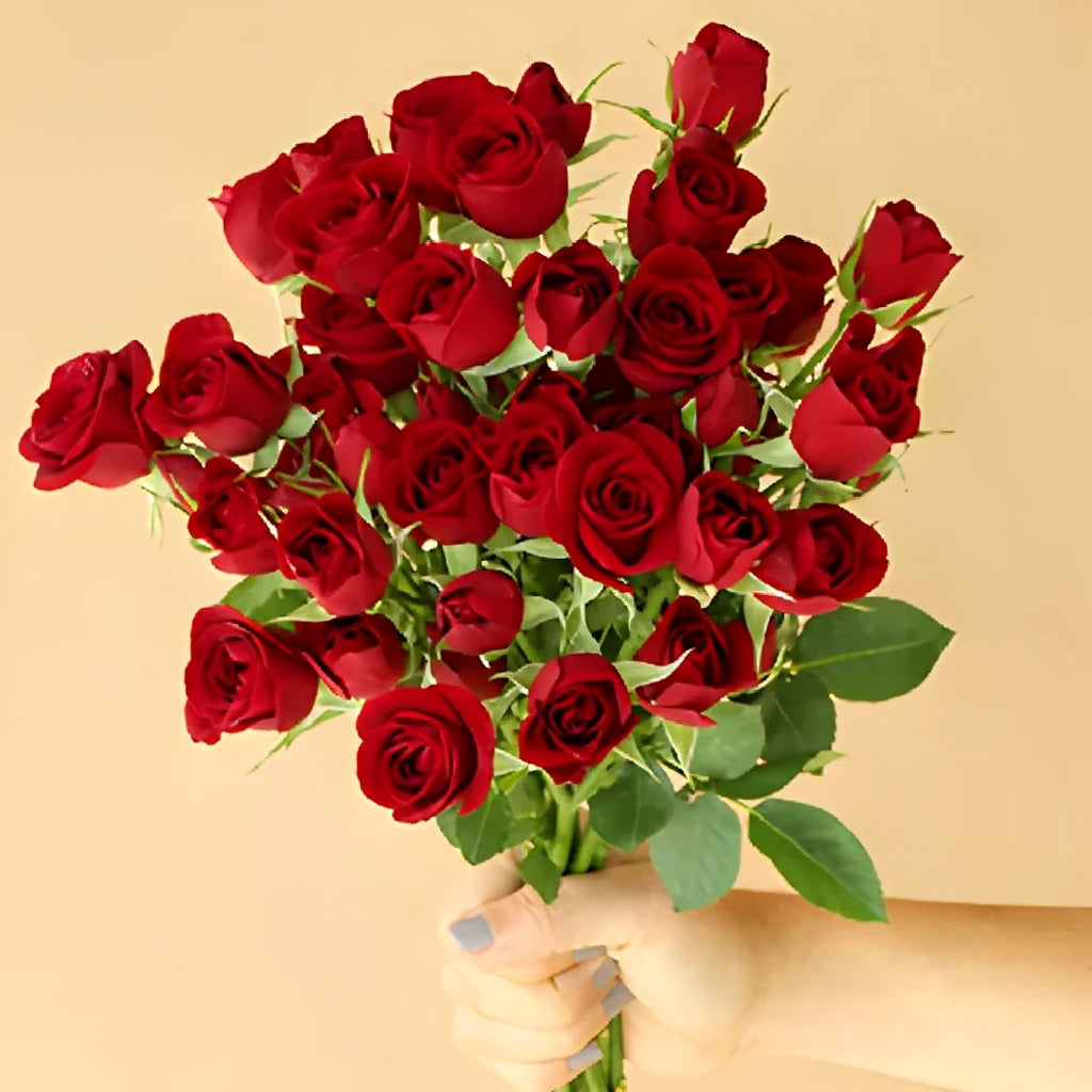 Rubicon Roses Spray - alternative 1