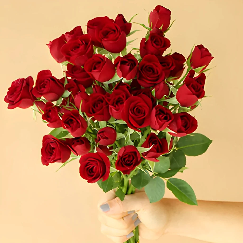 Fire King Roses Spray - alternative 3