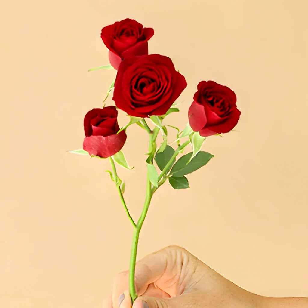 Fire King Roses Spray - alternative 1