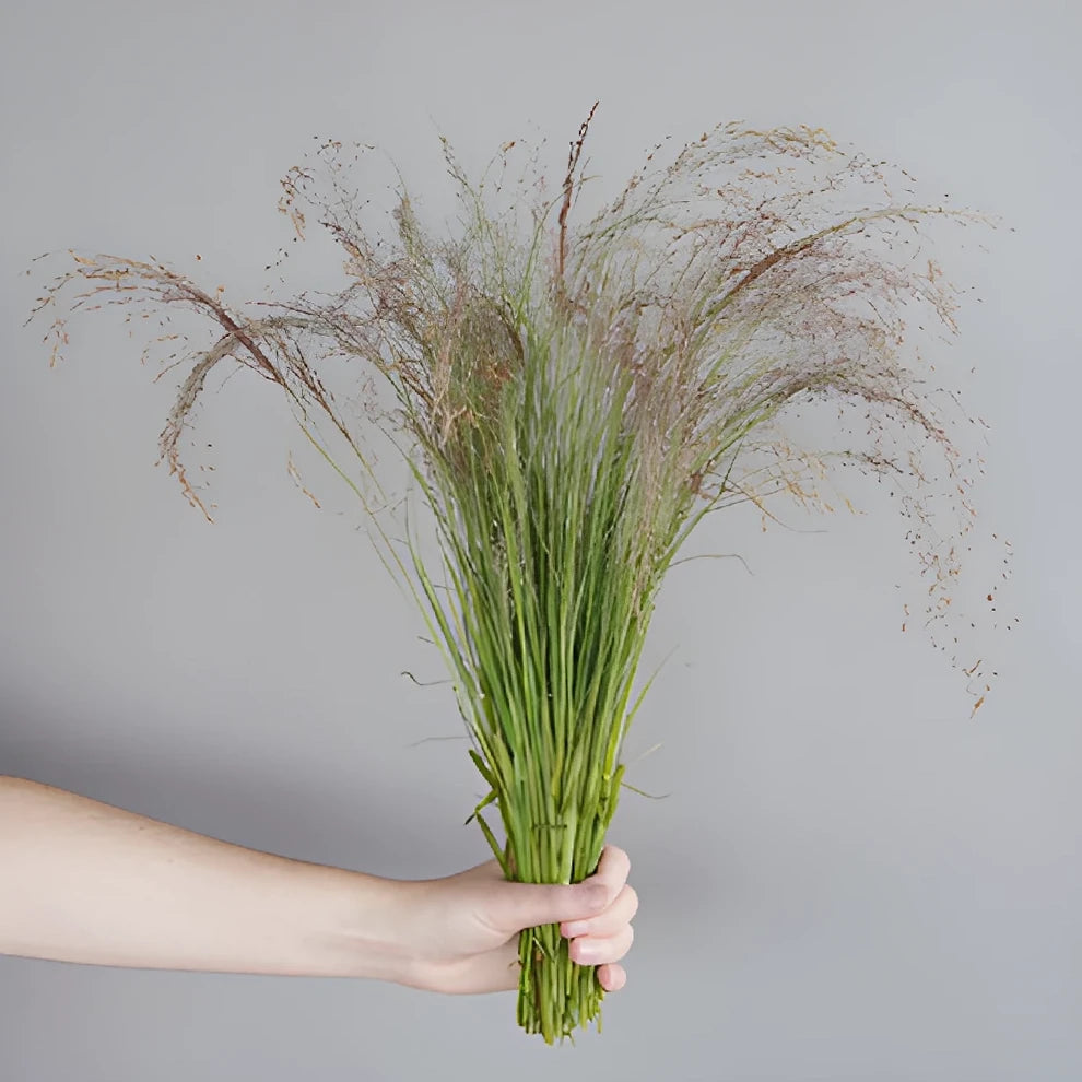 Ruby Silk Greenery - alternative 1