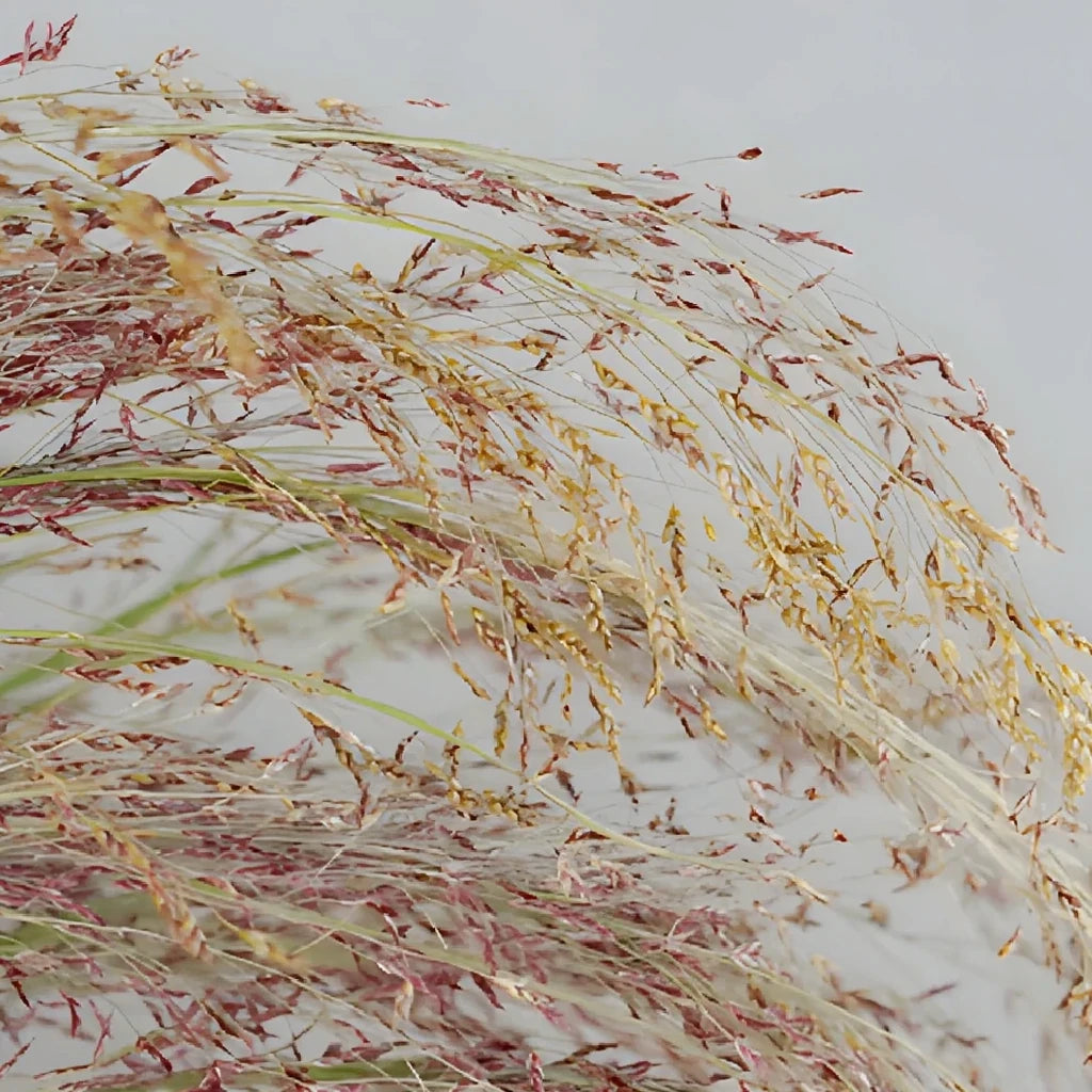 Ruby Silk Greenery - main