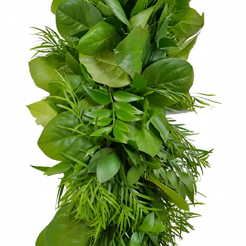 Israeli Ruscus, Salal and Weeping Greens Garland - main