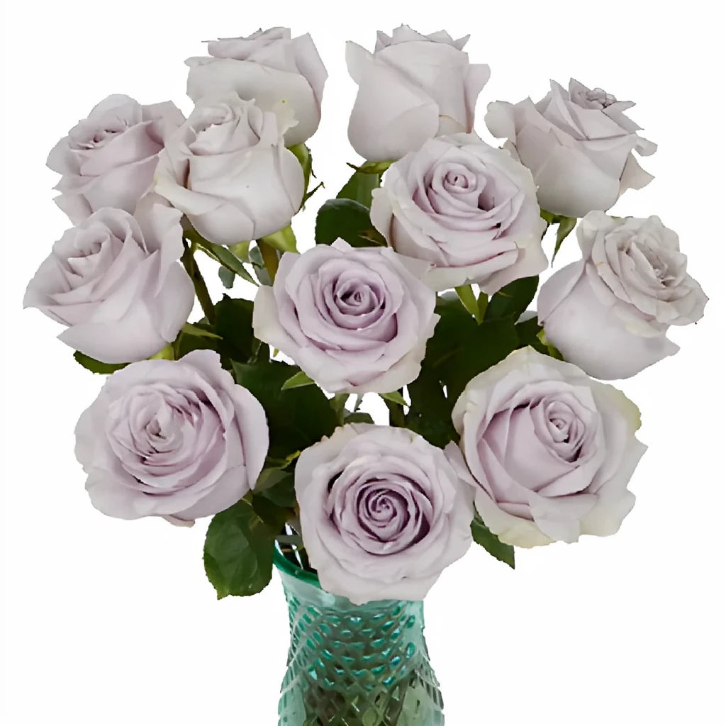 Safi Roses Standard - alternative 3