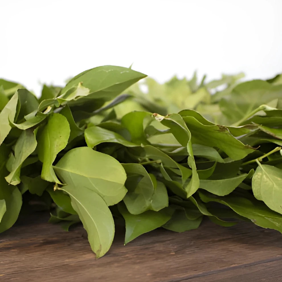 Wreath Salal Greenery - alternative 2